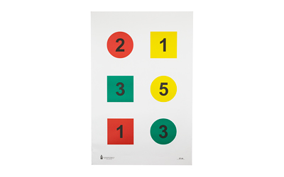 Action Target DT-4A, Discretionary Command Training Target, Black/Blue/Red/Yellow, 23"x35", 100 Per Box DT-4A-100