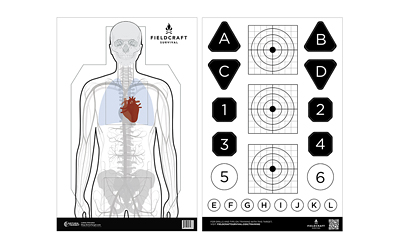 Action Target Fieldcraft Survival Double Sided Training Target, Multi Color, 23"x35", 100 Per Box FLDC-P-100