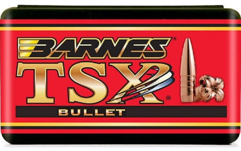 Barnes ct tsx 375 cal .375 270gr 50ct