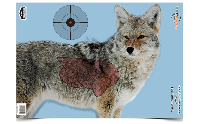 Birchwood Casey Pregame Target, Target With Visible Vitals, Coyote, 16.5x24, 3 Targets BC-35405