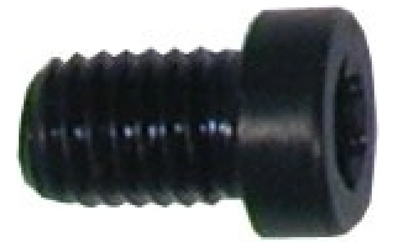 Brownells 8-40x1/4'' t-15 fillster head screws 12 pack