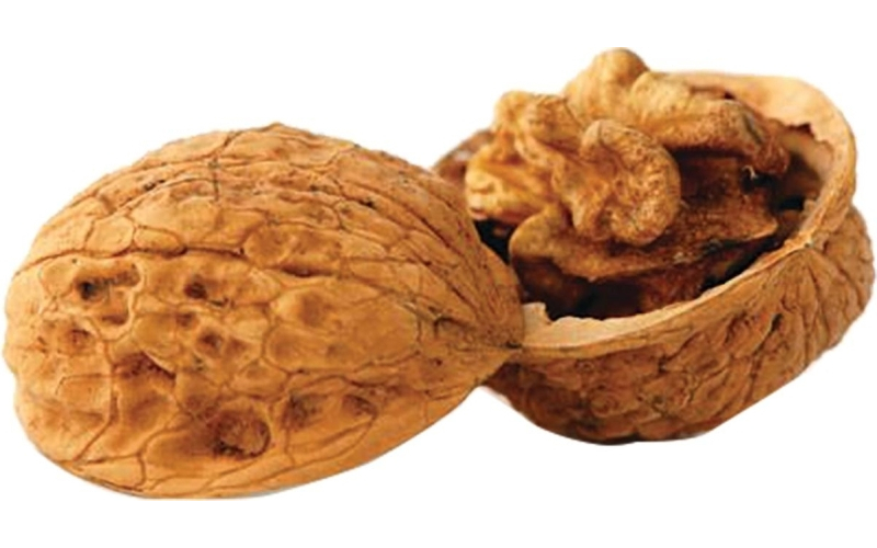 Berry's walnut media 8 lb. box