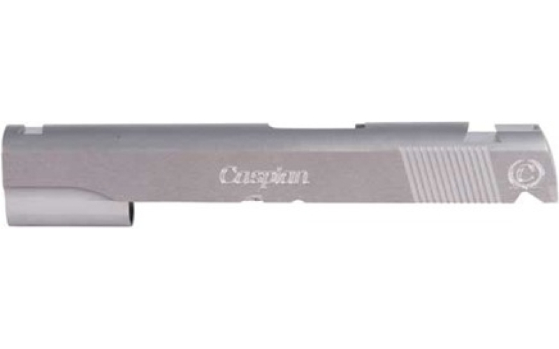 Caspian Stainless steel, low mount sight cut, .40/10mm