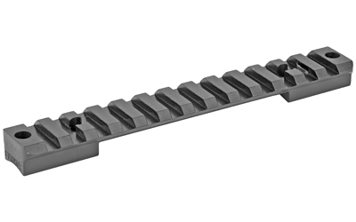 DNZ RUGER AMER LA PIC 20MOA 1"