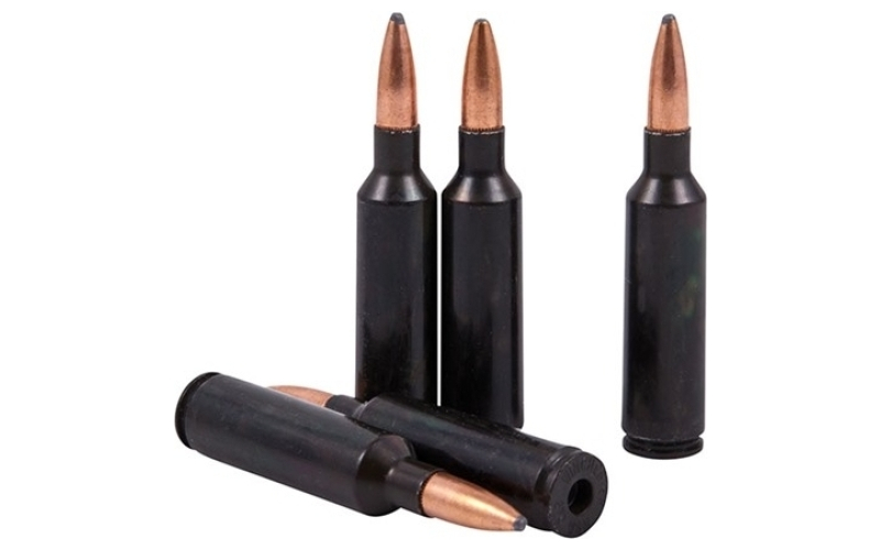 Genco Inc. 270 wsm dummies 5/box