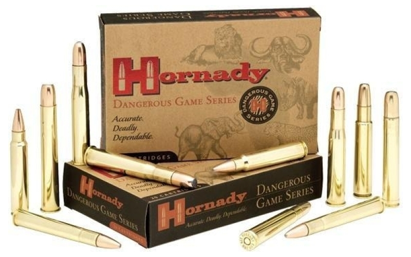 Ammo custom 416 rig 400gr dgs