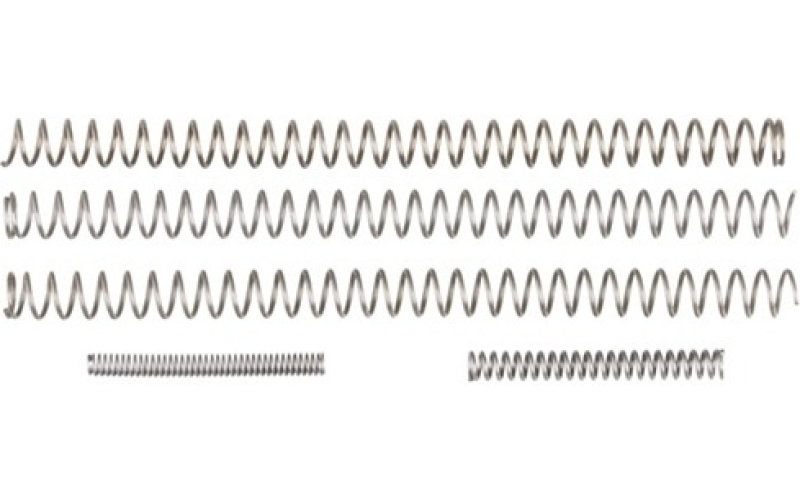 Nighthawk Custom Govt. model spring kit