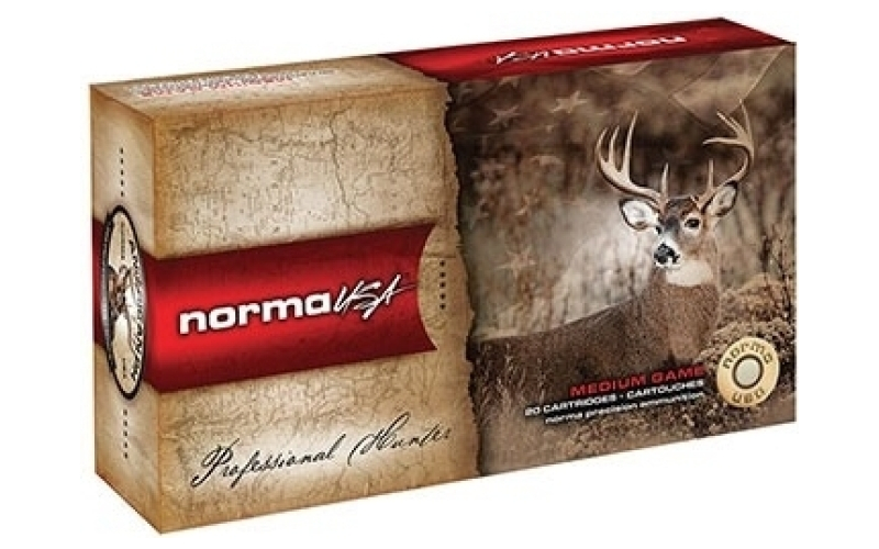 Norma 300 norma magnum 230gr hybrid target 20/box
