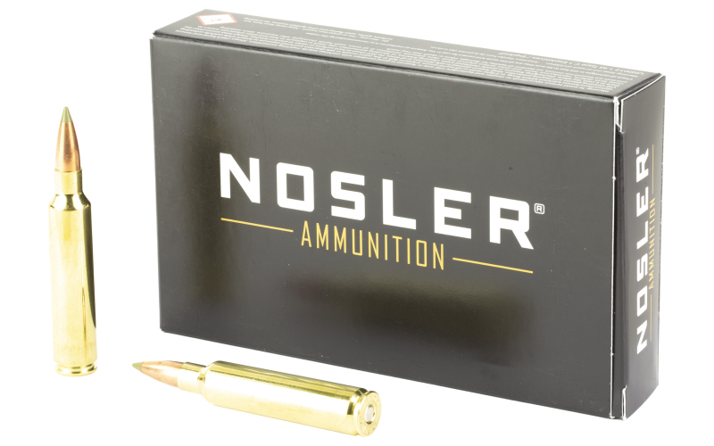NOSLER E-TIP 30NOS 180GR 20/200