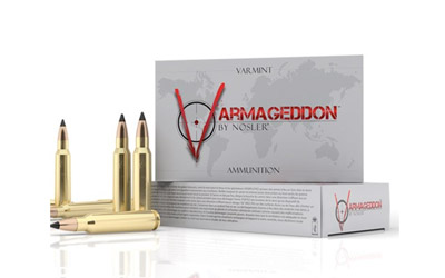 NOSLER VG 223REM 55GR FB TIP 20/400