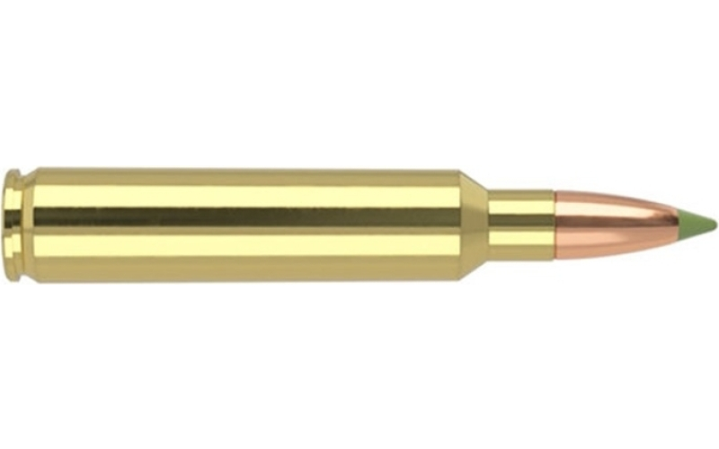 NOSLER Nosler ammo 30 nosler 180gr e-tip (20 ct.)