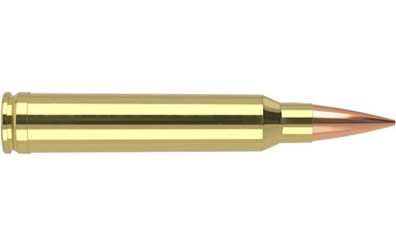 NOSLER 300 winchester magnum 210gr hpbt 20/box