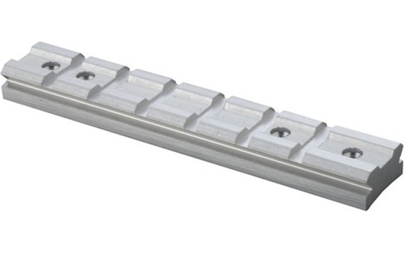 Power Custom Silver 10/22~ receiver mount