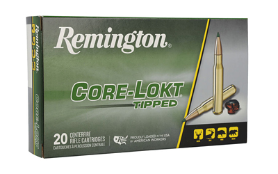 REM 243WIN 95GR CLOK TIPPED 20/200