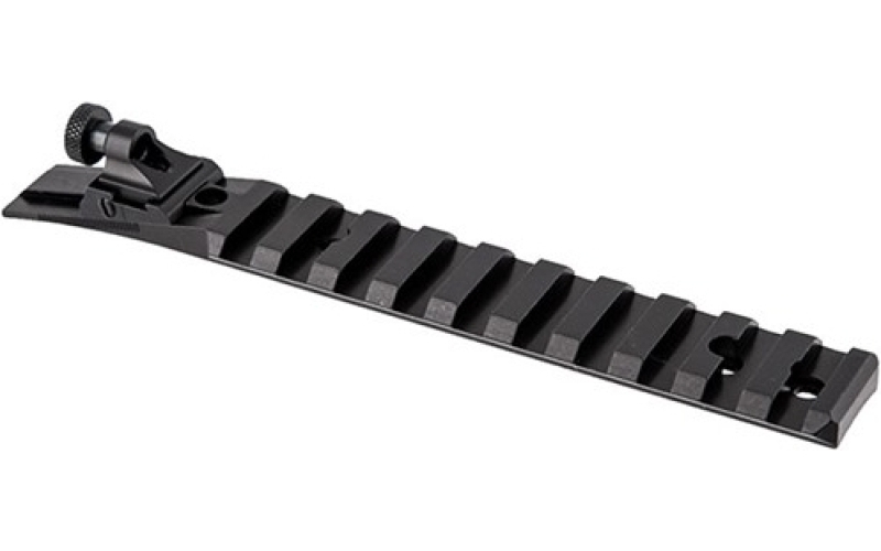 Williams Gun Sight Ruger~ 10/22~ fiber optic ace in the hole sight set rod